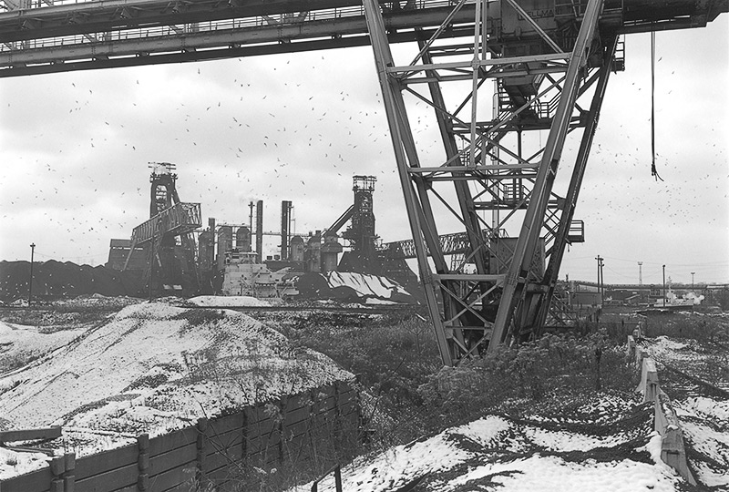 Cle-10