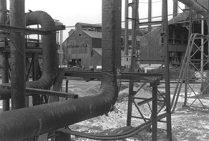 Cle-11