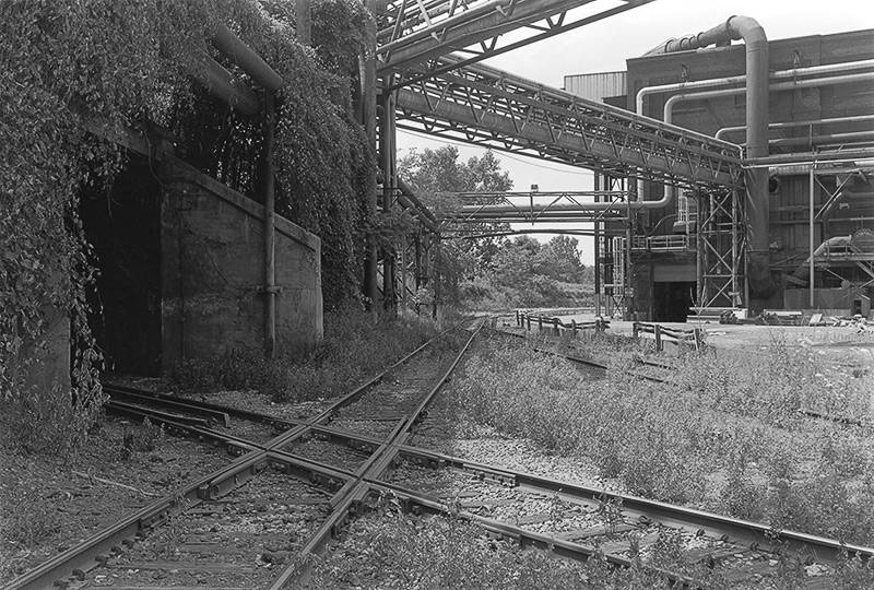 Cle-12