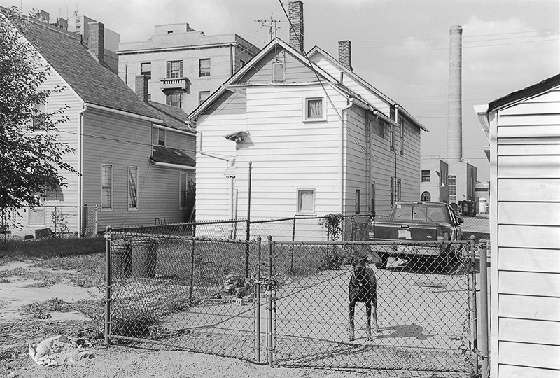 Cle-17