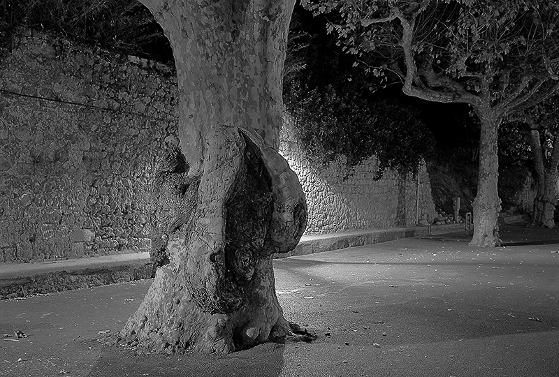 Provence-19